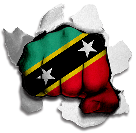 Fist Saint Kitts and Nevis Flag Logo cricut iron on